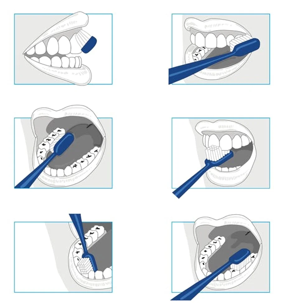 brushing technique images